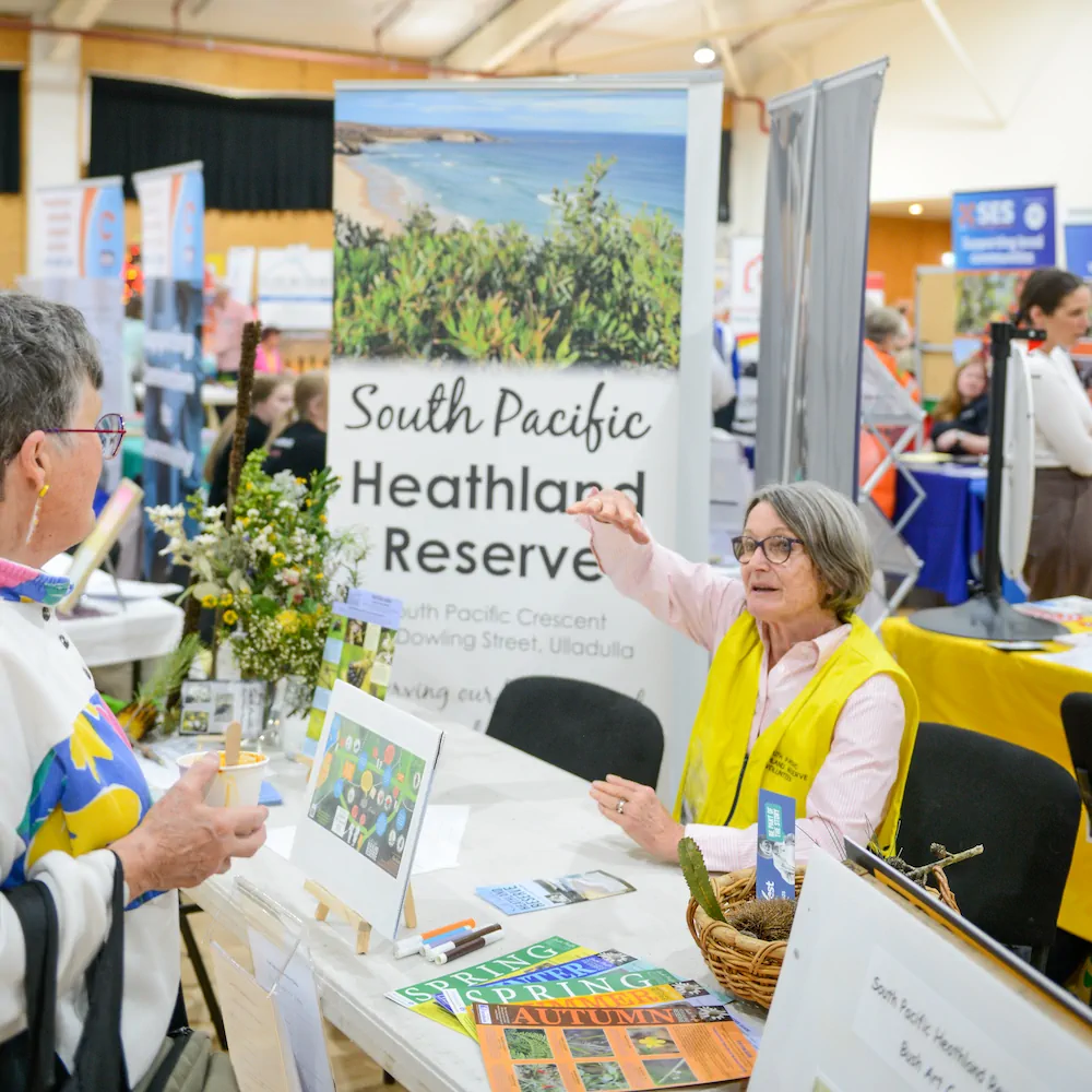 South Pacific Heathland Reserve